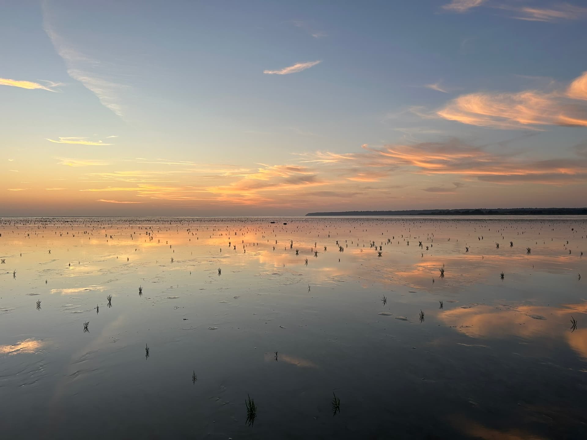 Cover of A.R. Ammons' book 'The Selected Poems 1951-1977'